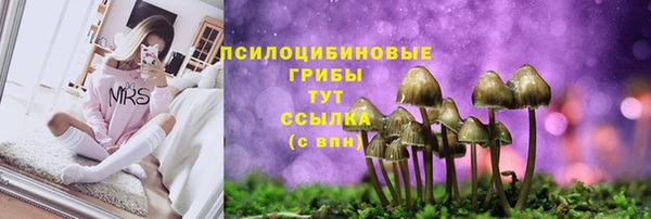 MDMA Елизово